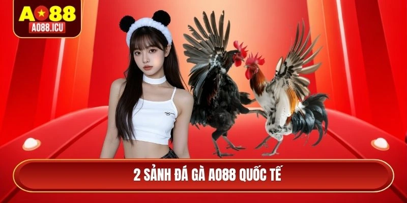 2 sảnh đá gà AO88 quốc tế