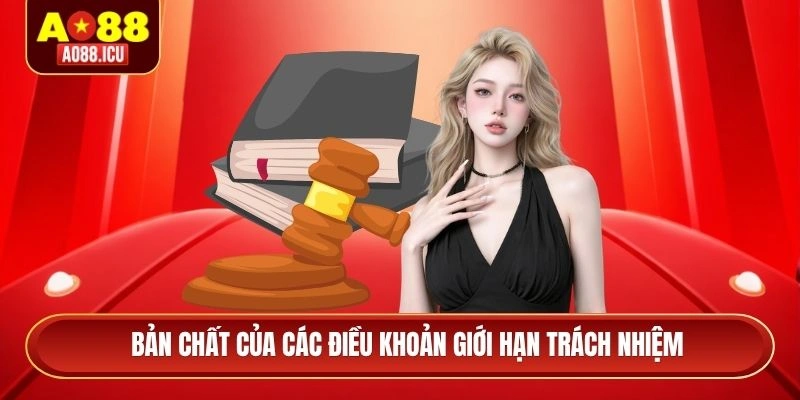 Bản chất của các điều khoản giới hạn trách nhiệm